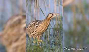 Varen door het Ilperveld: ontdek en beleef de winterrust