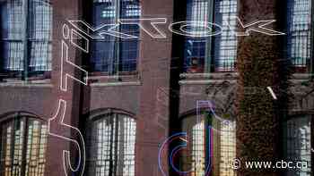 How a U.S. ban on TikTok could impact Canadian influencers