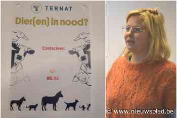 Eigenaars van weidedieren kunnen gratis weideplaatje aanvragen