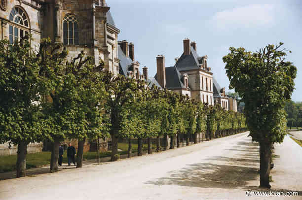 How trees can be affected by winter weather