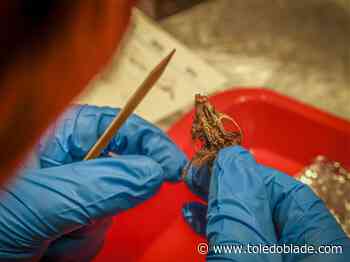 Photo gallery: Owl barf to that. Metroparks class offers unique insight