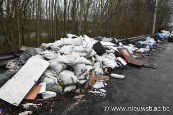 Groot sluikstort aan Brusselse Ring in Anderlecht wordt maandag opgeruimd