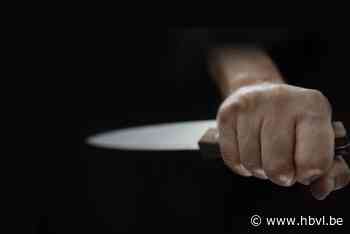 Hasselaar probeert na vierde fles wijn vrouw neer te steken