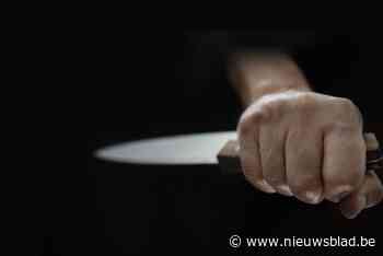 Hasselaar probeert na vierde fles wijn vrouw neer te steken