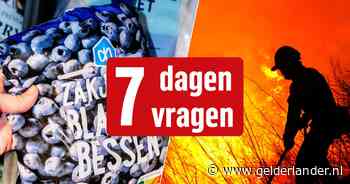 Alleen de echte nieuwsjunk maakt deze wekelijkse quiz foutloos