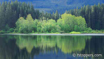 Sustaining Your Growth After a Photography Workshop