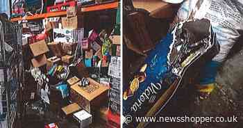 Dartford B&M slammed after rat droppings found and food left outside for weeks