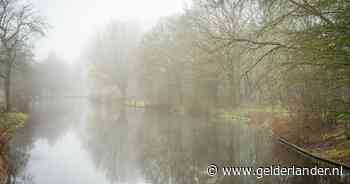 Grijs en grauw, maar toch moeten we naar buiten: ‘Dat je hier chagrijnig van wordt, ligt vaak aan jezelf’
