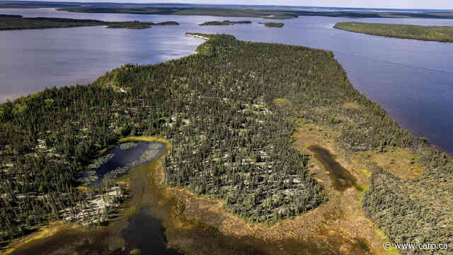 New Urban Parks can be a Legacy for Today’s Seniors