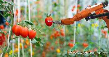 Künstliche Intelligenz in der Landwirtschaft: Innovationen und Anwendungen in Deutschland