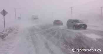 Southern Manitoba hit with blizzard conditions and highway closures