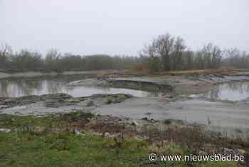 Temse pakt knijtenhinder aan: “Bressen in de rivierdijk worden gedicht met breuksteen”
