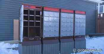Mailbox break-ins cause concern on Saskatoon’s west side