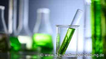 Entdeckung auf Sizilien: Bakterium könnte CO₂ abbauen