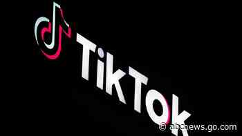 Trump adviser says president-elect is exploring options to 'preserve' TikTok