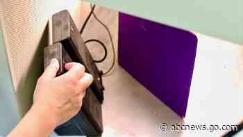 Can AI help humans understand animals and reconnect with nature? A nonprofit research lab thinks so