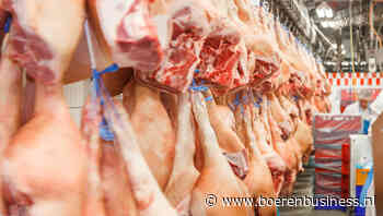 Exportstruggles hard gelag voor varkenssector