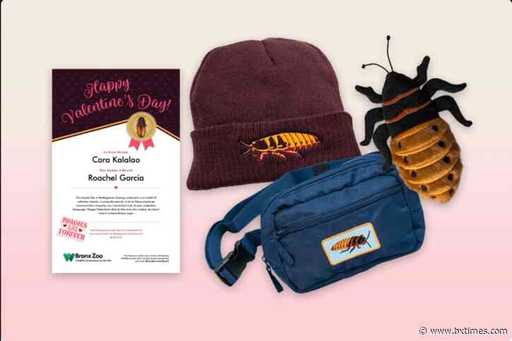 Bronx Zoo’s Valentine’s Day tradition returns: Name a cockroach after your ex