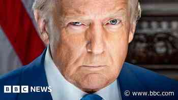 Decoding Donald Trump's new official portrait