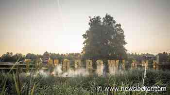 Tomorrowland in beroep tegen boete om gebruik plastic bekers