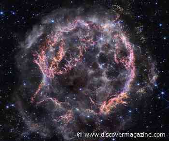 A Light Echo From a Supernova Has Illuminated Interstellar Gas and Dust
