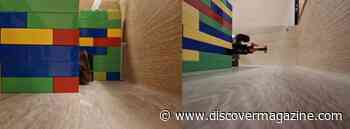 Rats Facing Lego Robot Scorpions May Help Understand Human Anxiety