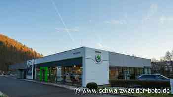 Anzeige: Vollelektrischer Kompakt-SUV