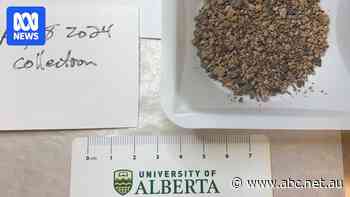 Meteorite strike captured on video by doorbell camera in Canada