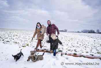 DIT GEVEN ZIJ UIT. “Onze ultieme besparingstip vergt wel wat tijd”