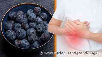 Hunderte Infektionen – Blaubeeren nach beunruhigendem Fund aus Einzelhandelsregalen entfernt