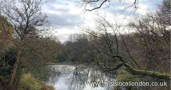 There's a job that pays up to £46k for working outdoors on Hampstead Heath