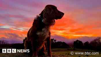 In pictures: Fiery sunsets and UFO-like clouds