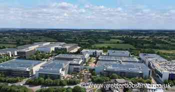 Stevenage cat reunited with owner after 20-mile Elstree Studios trek