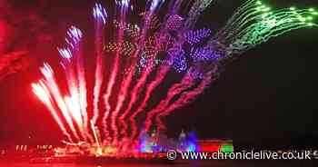 Guide dogs 'cannot go outside' when fireworks are going off, Labour MP says