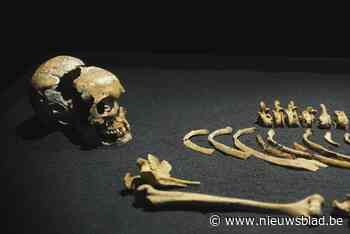 Judith wordt bijna weer opgeborgen: expo is aan laatste weekend bezig