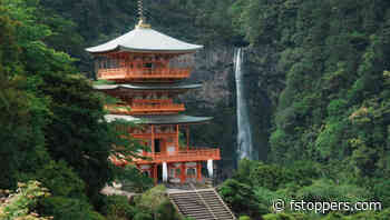 A Year of Photography and the Lessons It Inspired