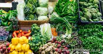 Doctor says one 'slimy' vegetable is key to gut health and lower cholesterol