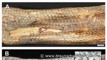 Laser enthüllen Tätowierungen auf 1200 Jahre alten Mumien