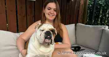 Heartbreak after 'wonderful' Ashington teenager dies just a week after finishing cancer treatment