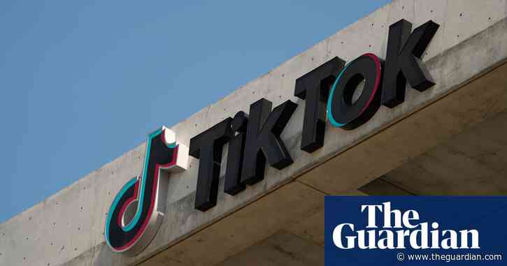 Trump says he will likely grant TikTok a 90-day reprieve from US ban when he takes office
