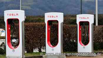 „Erhebliche“ Kosteneinsparung – E-Auto-Fahrer können mit diesem Konzept Geld verdienen