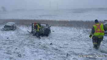 Woman, 30, dead after Fermor Avenue pileup during blizzard