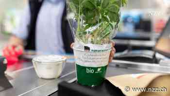 Der Bio-Moloch, der die Szene vor sich hertreibt: Coop wollte der Migros das Knospe-Label vorenthalten