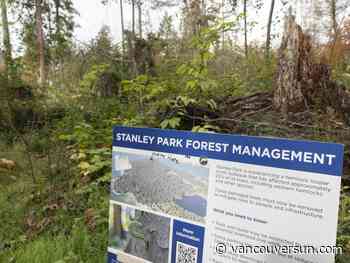 Vancouver funds extra $3M to Stanley Park tree removal project during intensifying moth crisis