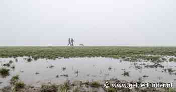 ‘Deprimerendste dag van het jaar’ deze keer ook echt grijs, maar er komt verandering