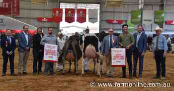 International Dairy Week attracts first-class judges from around the globe