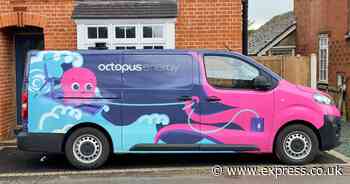 Octopus Energy customers get £315 with one heating change