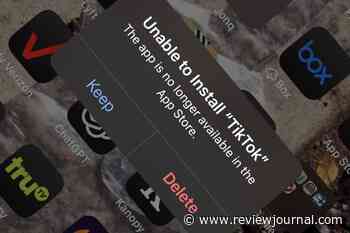 TikTok access shuts down in the US