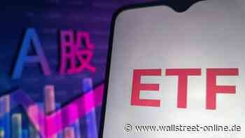 ETF-Geheimtipp: Mega-Performance: Dieser aktive ETF erzielte 2024 eine Rendite von +80 Prozent!