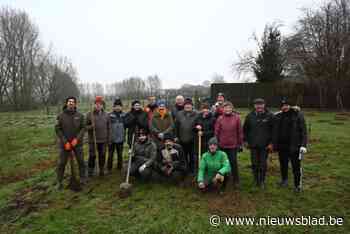 Natuurpunt plant nieuw stukje bos: “Over de naam moeten we nog nadenken”